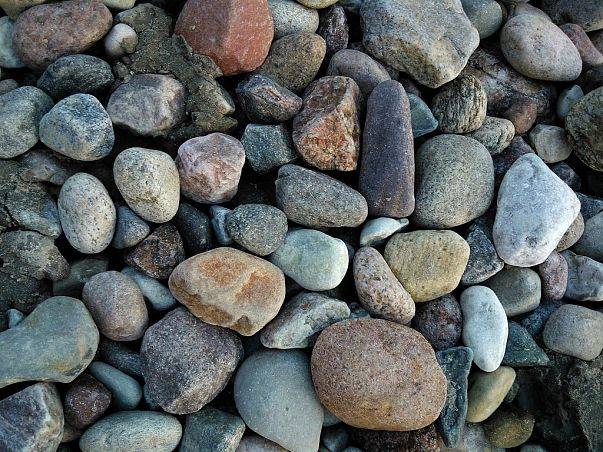 „Kamienie z Północy: warsztaty z oznaczania skał narzutowych” grafika