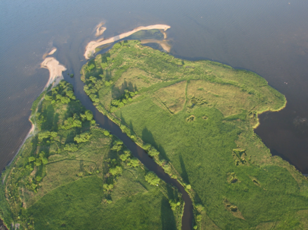 Rezerwat Beka – skarby przyrodnicze delty rzeki Redy grafika