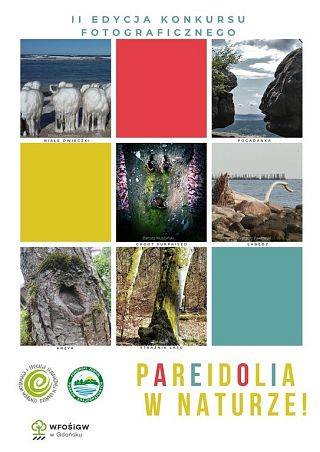 II edycja konkursu "Pareidolia w naturze" grafika